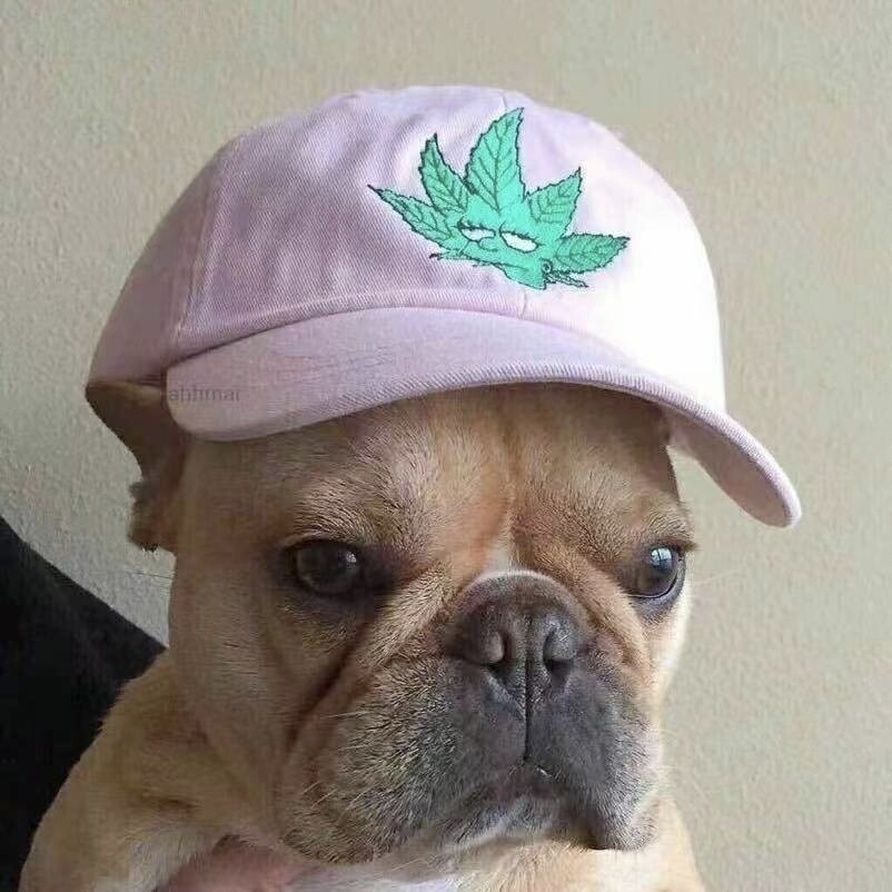 。。。。。。