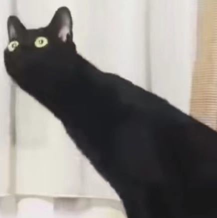 7777