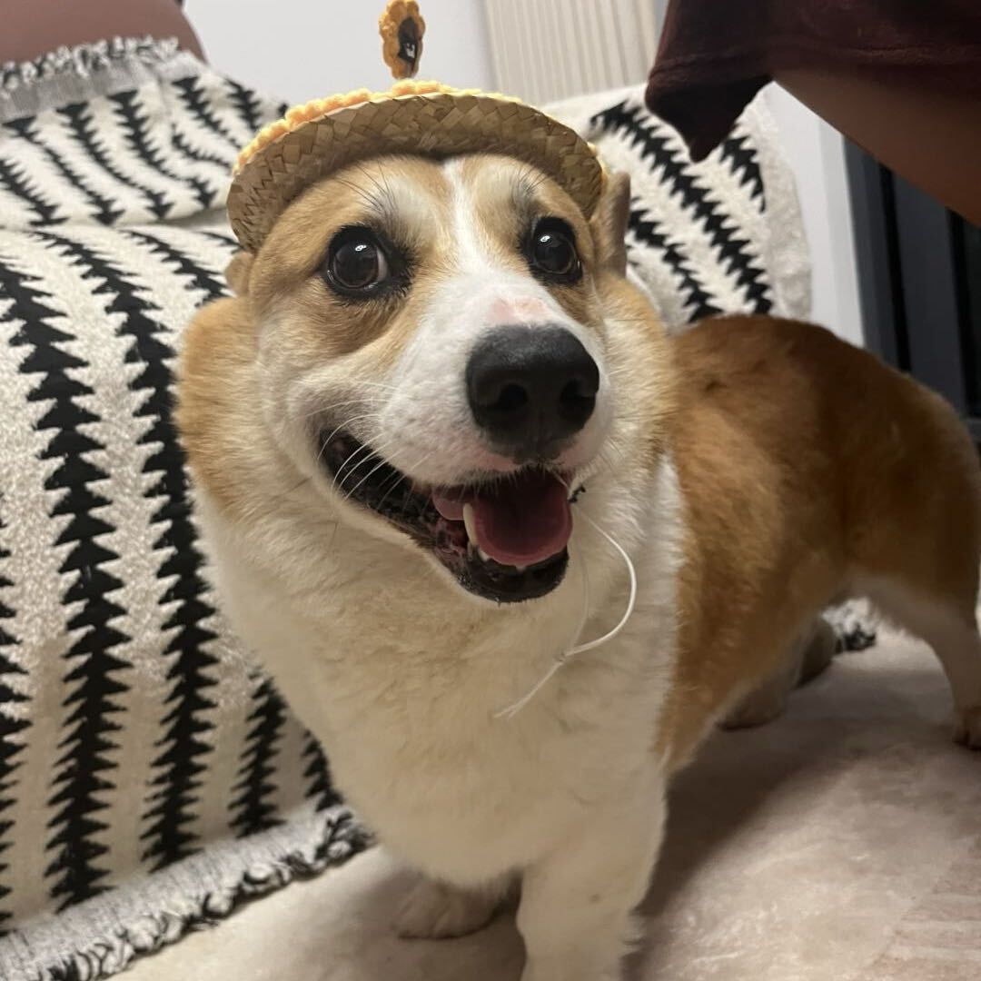 Y