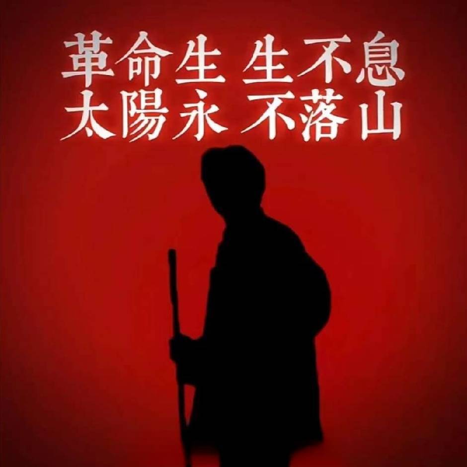 你好！小怪兽