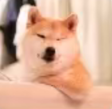 **雄
