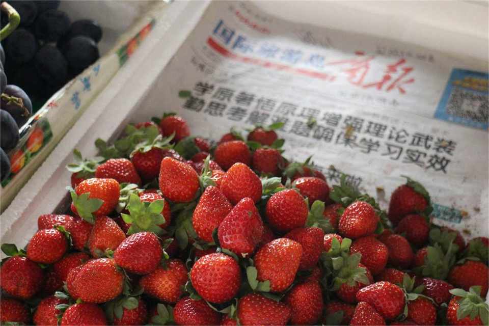 AI工作流重塑全链路交付，国际设计大奖折射人文思潮
