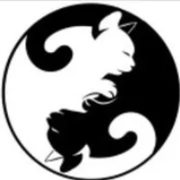 豆瓣组 爱猫生活