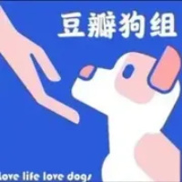 豆瓣组 狗组