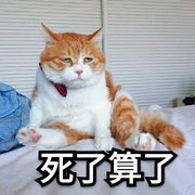 豆瓣组 社会性死亡